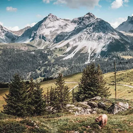 Hotel Quellenhof - Self Check-in & Adults Only Arosa